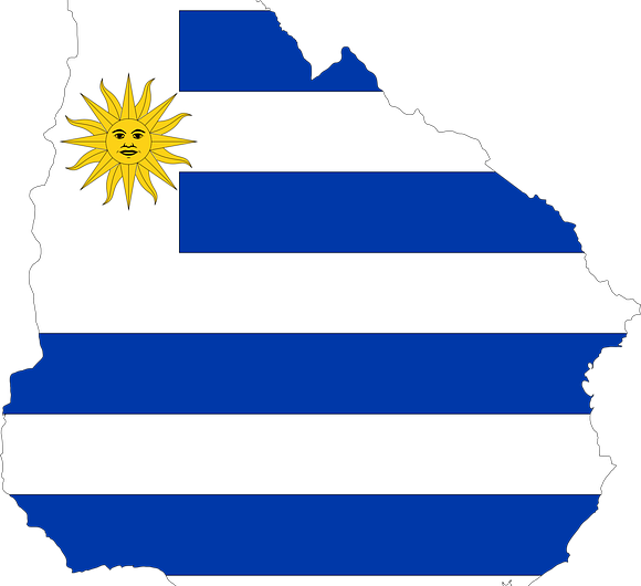 Uruguay, les plantations qui soutiennent le pays