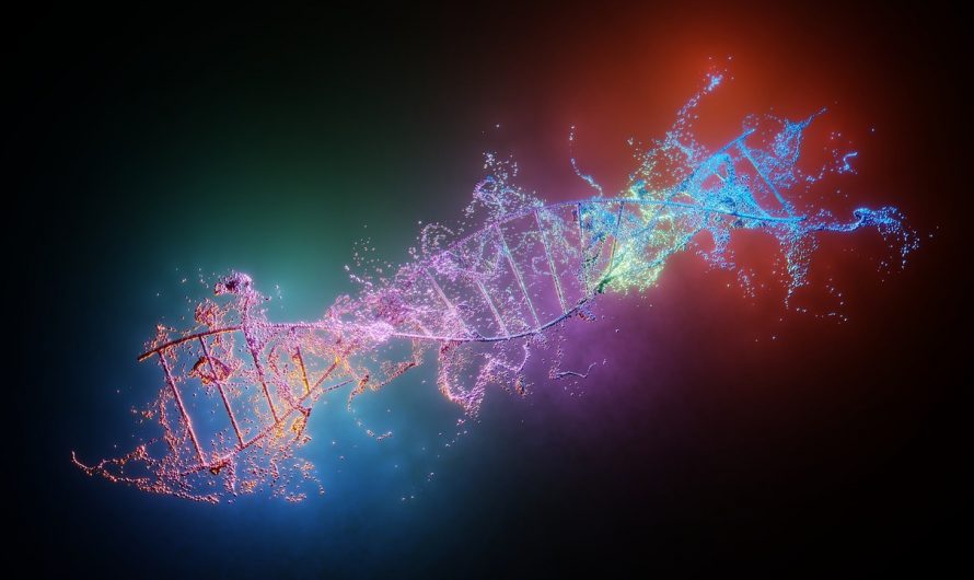 Comment fonctionne une analyse ADN ?