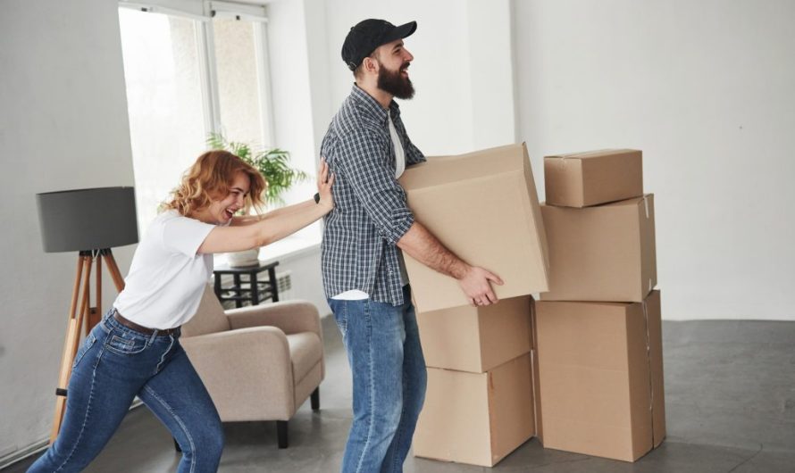 Que faire de vos cartons après votre déménagement ?