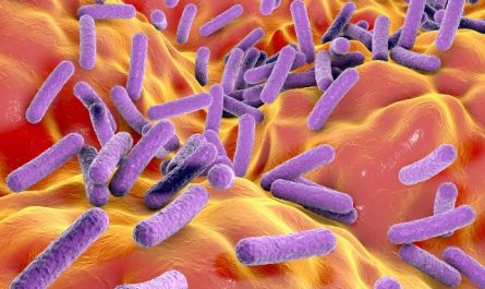 Savez-vous que le microbiote fait partie de votre organisme